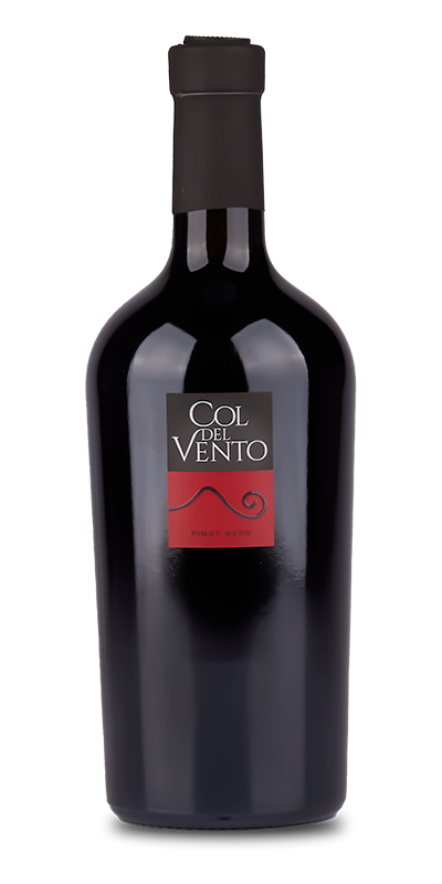 pino-nero-col-del-vento pino-nero-col-del-vento